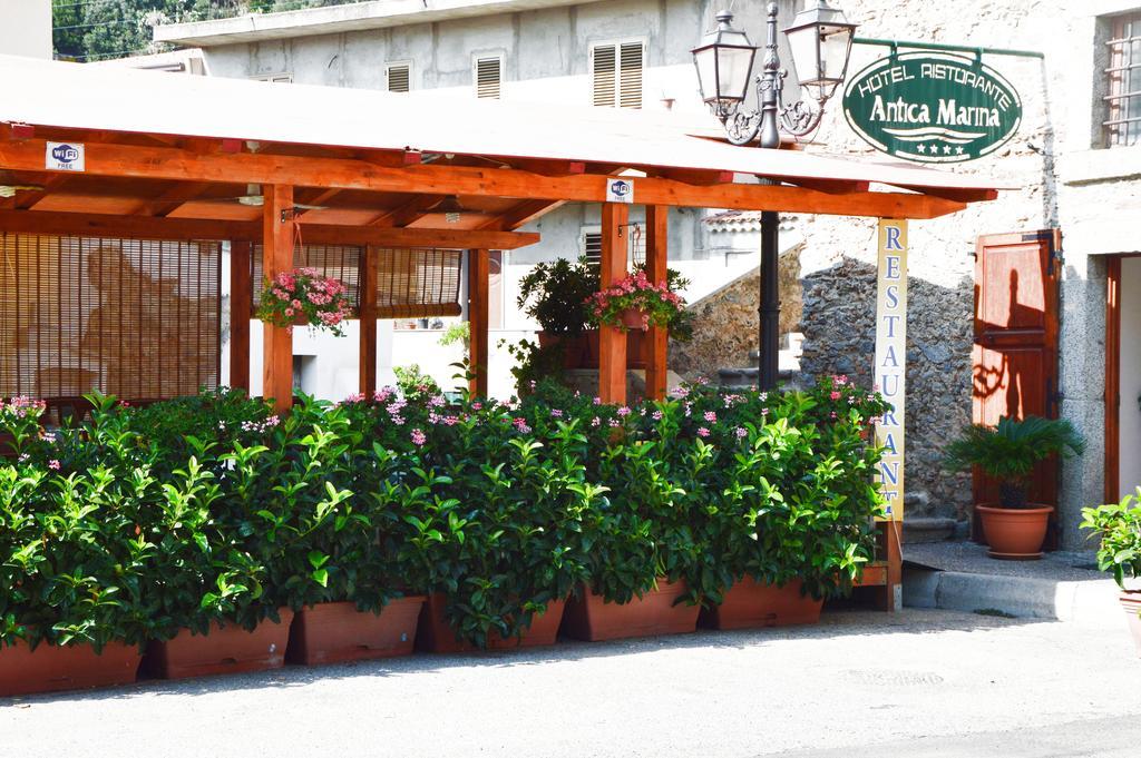 Hotel Ristorante Antica Marina Nicotera Dış mekan fotoğraf